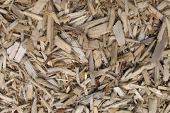 biomass boilers Chelwood